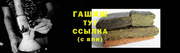 прущие грибы Рославль